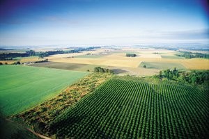 Держгеокадастр запроваджує практику автоматичного оприлюднення рішень про розпорядження землями сільськогосподарського призначення державної власності